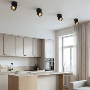 Dimmable Ceiling Light 360 Degree