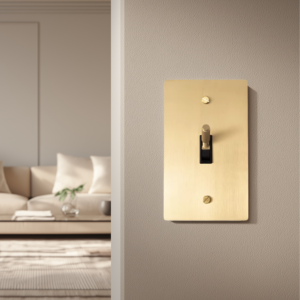 Solid Brass Toggle Switch
