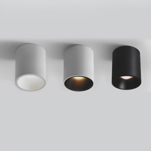 Surface Mounted Waterproof COB Ceiling Lamp